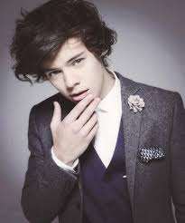 Harry Styles Birthday, Real Name, Age, Weight, Height, Family, Facts